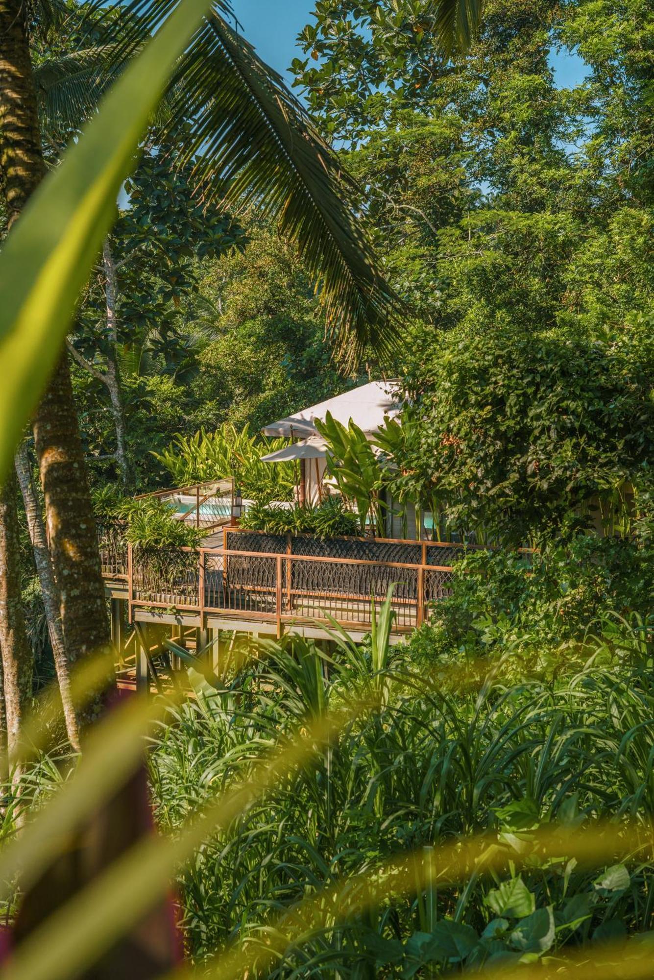 Kanva Ubud Tegallalang  Chambre photo